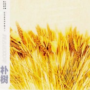 那些花儿