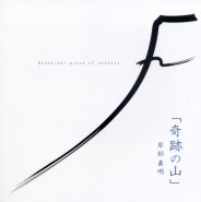 流行的云 流れ行く雲 指弹
